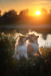 Similar image 21279866