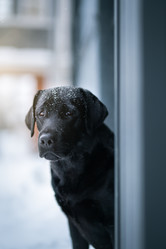 Similar image 21279867