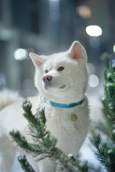 Similar image 21279869