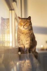 Similar image 21279870