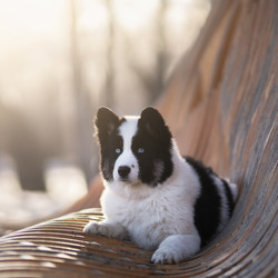 Similar image 21279871