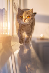 Similar image 21279872