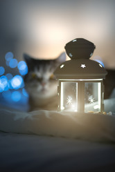 Similar image 21279874