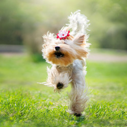 Similar image 21279876