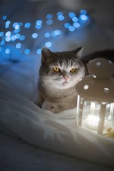 Similar image 21279878