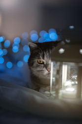 Similar image 21279880