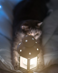 Similar image 21279882