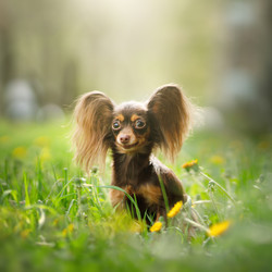 Similar image 21279883