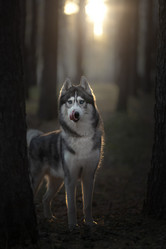 Similar image 21279886