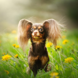 Similar image 21279887