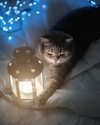 Similar image 21279888