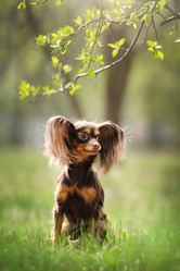 Similar image 21279941