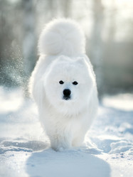 Similar image 21279945