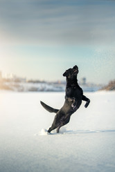 Similar image 21279948