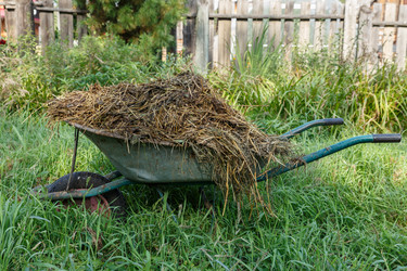 Similar image 21281325