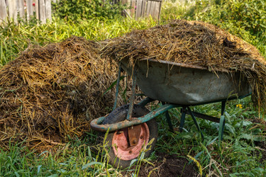 Similar image 21281326