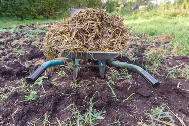 Similar image 21281329