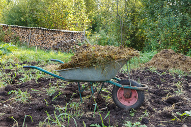 Similar image 21281330