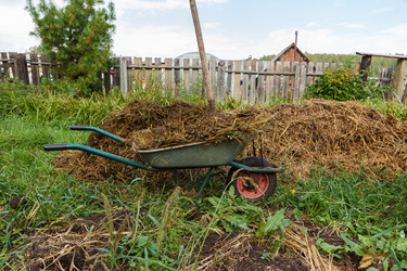 Similar image 21281333