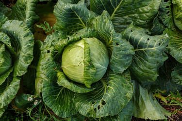 Similar image 21281335