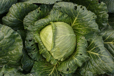 Similar image 21281336