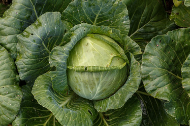 Similar image 21281338