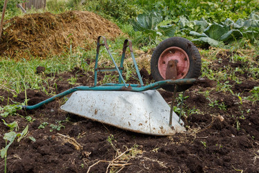 Similar image 21281339