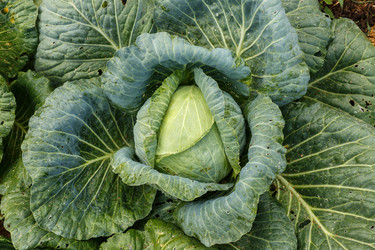 Similar image 21281340