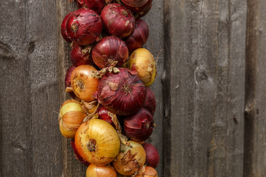 Similar image 21281351