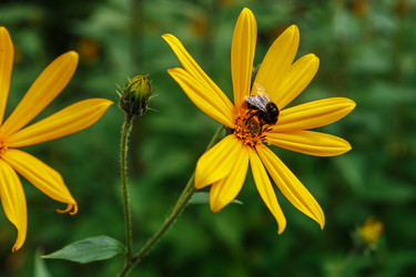 Similar image 21281357