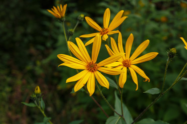 Similar image 21281358