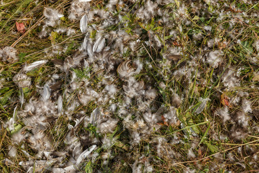 Similar image 21281365