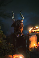 Similar image 21291544