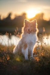 Similar image 21291545