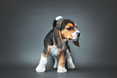 Similar image 21291546