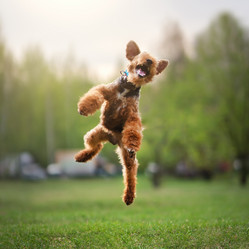 Similar image 21291547