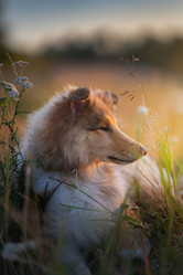 Similar image 21291549