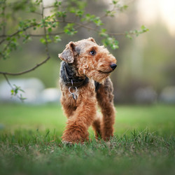 Similar image 21291555