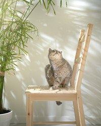 Similar image 21291559