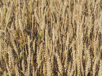 Similar image 21263052