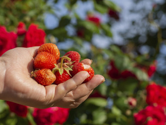 Similar image 21263055