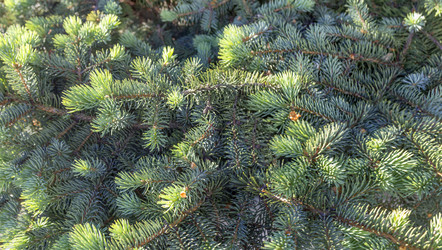 Similar image 21262852