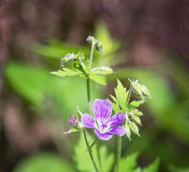 Similar image 21262854