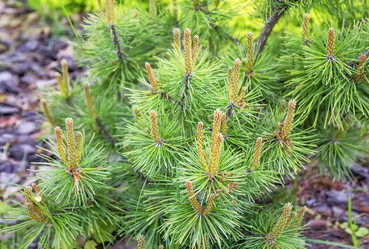 Similar image 21262855