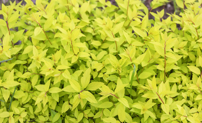 Similar image 21262856