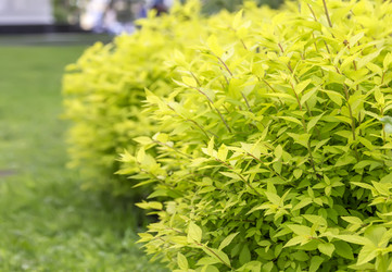 Similar image 21262857