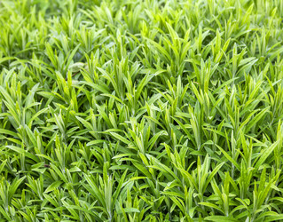 Similar image 21262860