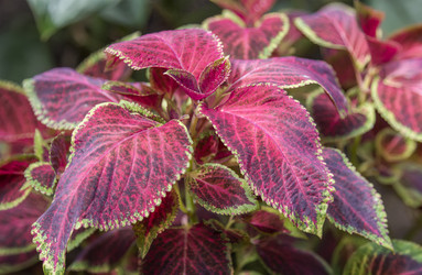 Similar image 21262690