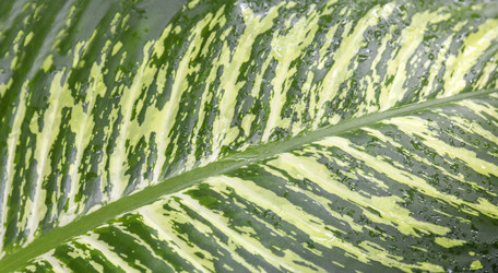 Similar image 21262691