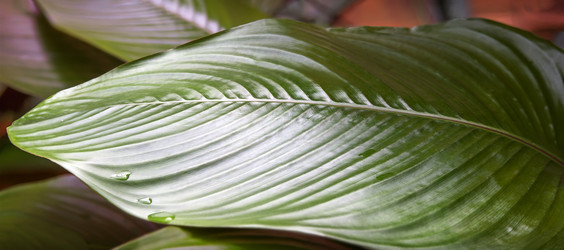 Similar image 21262692